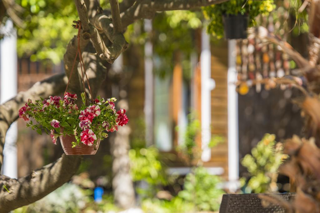 منزل الضيف Likya Evleri Olympos (Adults Only) المظهر الخارجي الصورة