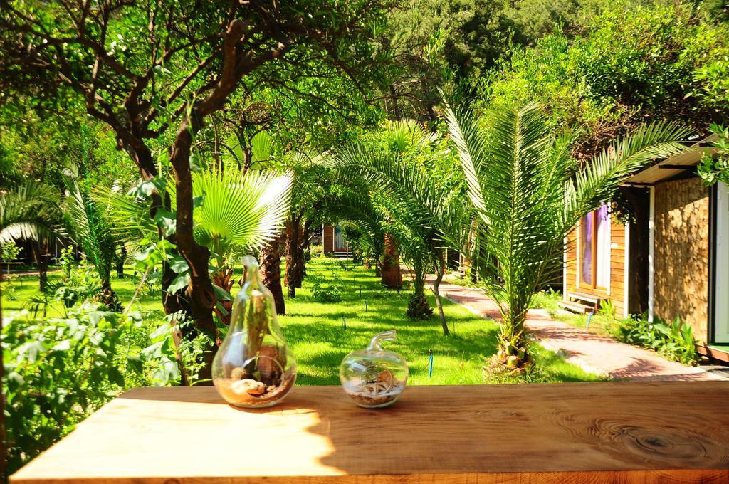 منزل الضيف Likya Evleri Olympos (Adults Only) المظهر الخارجي الصورة