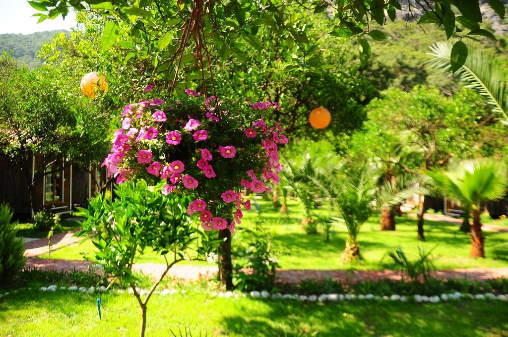 منزل الضيف Likya Evleri Olympos (Adults Only) المظهر الخارجي الصورة