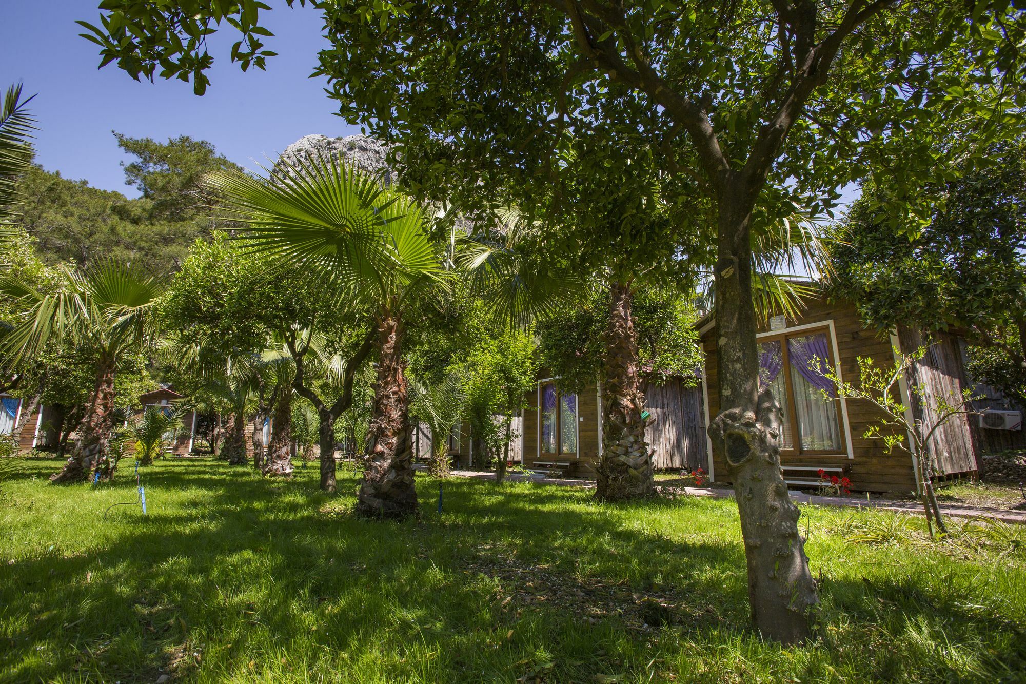 منزل الضيف Likya Evleri Olympos (Adults Only) المظهر الخارجي الصورة